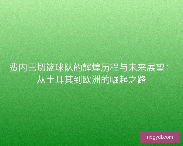 费内巴切篮球队的辉煌历程与未来展望：从土耳其到欧洲的崛起之路